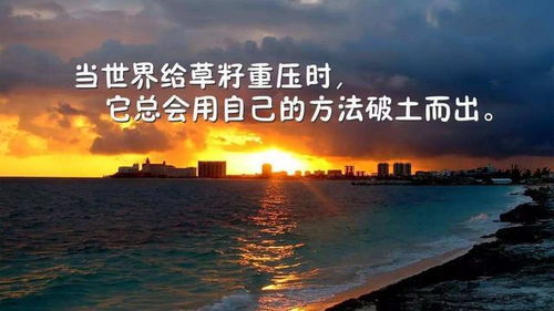 勇往无前和勇往直前的意思，不负韶华勇往直前的意思
