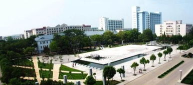 抚州有哪些大学