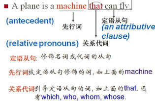 which和that的区别是什么?