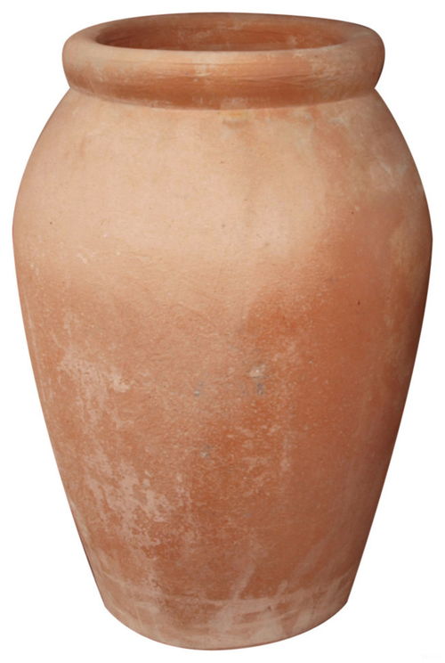 terracotta怎么读