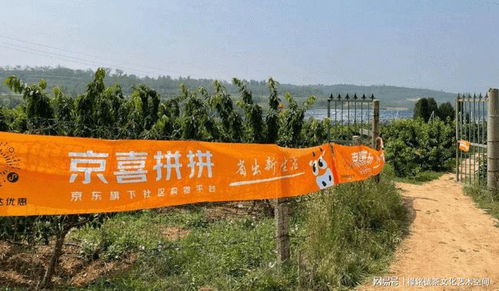 风头无两是什么意思 风头无两是啥意思