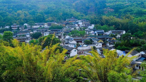 西山森林公园，西山村赶海开放时间