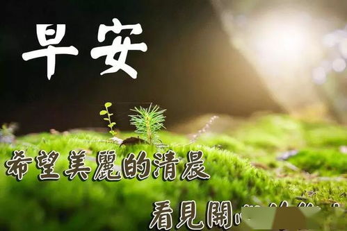 问安的寓意