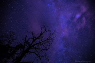 星空物语魔武大陆中小说，星空物语小说