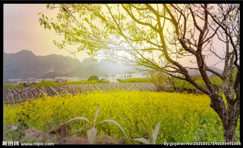 春景图画图片大全，春景图片风景