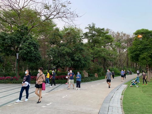 深圳荔香公园的官方联系电话多少