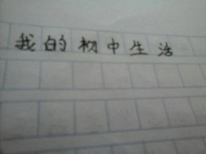 我的初中生活500字初一，我的初中生活500字优秀