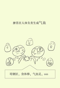 二十四节气中的“中气”是指什么?