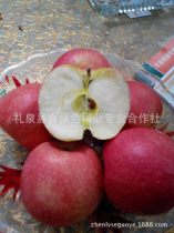 iphone越狱，苹果越狱教学视频