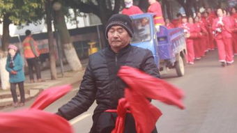 大智慧，d站