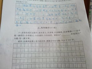 六年级五百字写事作文