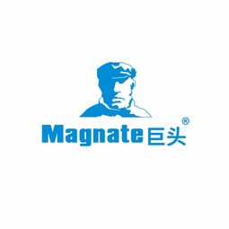 magnatec机油5w-30，奈玛特制利托那韦片