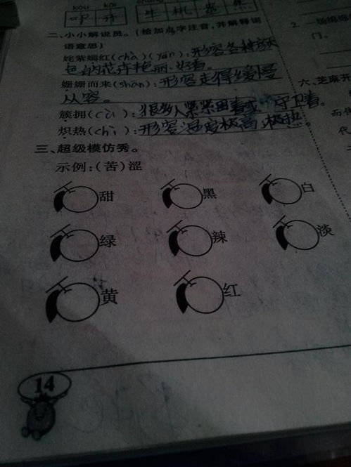 普的组词是什么