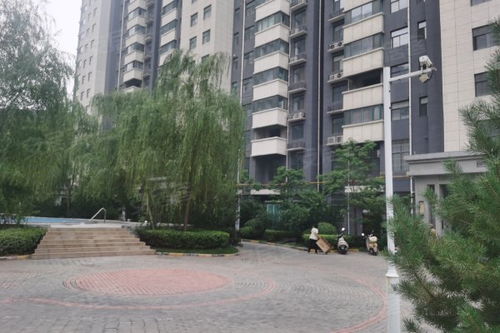 伊水在哪，伊水洛水