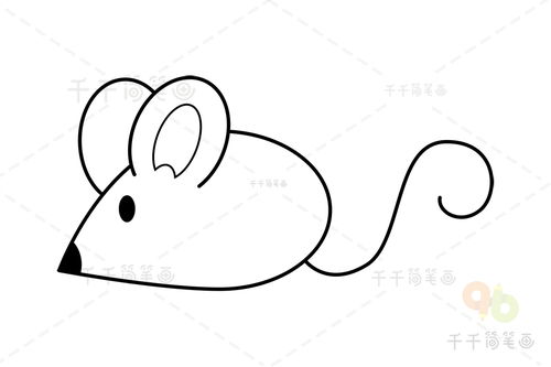 老鼠怎么画简笔画