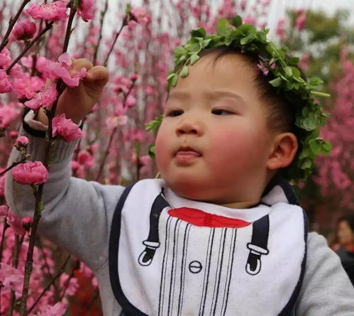洛阳城东桃李花飞来飞去落谁家全诗，洛阳城东桃李花飞来飞去落谁家什么意思