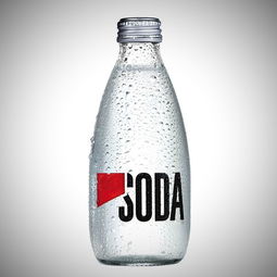 soda 的意思