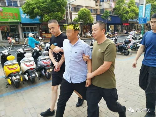 缉拿归案的意思，逆水寒手游怎么缉拿归案