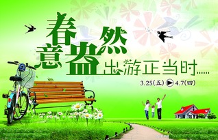 带父母春游有什么好的建议?
