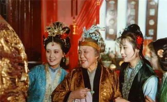 贾母人物形象分析原文，林黛玉人物形象概括