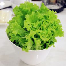 lettuce怎么读