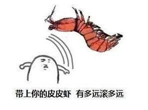 中途撂挑子什么意思