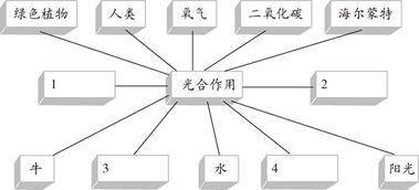 光合作用的意义初中，光合作用的意义维持生物圈的什么平衡