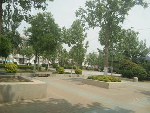 山东省德州市禹城市天气中国天气网，山东省德州市禹城县天气