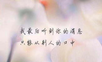 就当作是相见恨晚什么意思，相见恨晚什么意思解释
