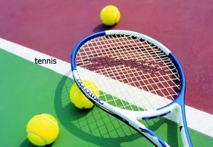 tennis怎么读英语单词，soccer怎么读