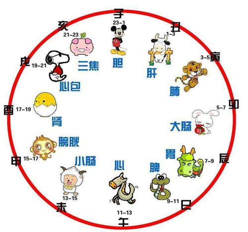 古代十二时辰与时间对照表与十二生肖，古代十二时辰与时间对照表简笔画
