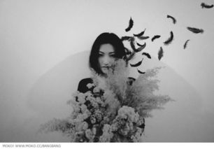是以见放什么意思