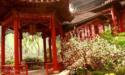 新版《红楼梦》里,李少红为什么要让所有的姑娘奶奶们顶着一个戏子头