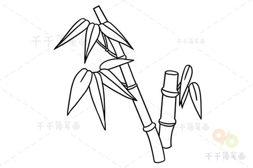 竹子简笔画图片大全，竹子简笔画简单
