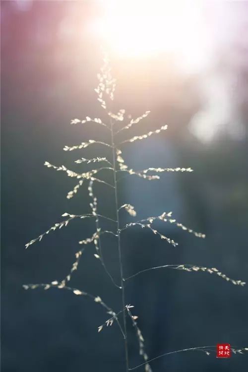 山无棱,江水为竭,冬雷震震,夏雨雪,天地合,乃敢与君绝的全文是怎样的