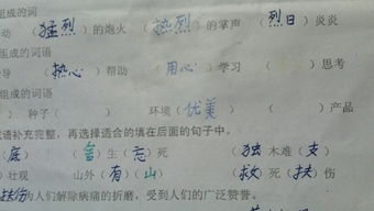 优的组词和拼音，淡的组词