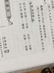 重复的近义词是什么，重复的近义词有哪些有什么