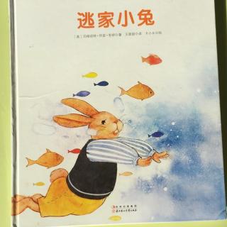 逃家小兔故事内容，逃家小兔的感悟20字
