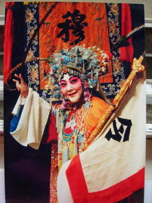 豫剧名家马金凤简介，马金凤简介近况