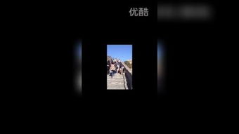 顶端的读音顶端的读音是什么