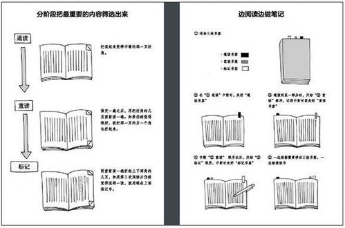 dirty怎么读，dryer怎么读