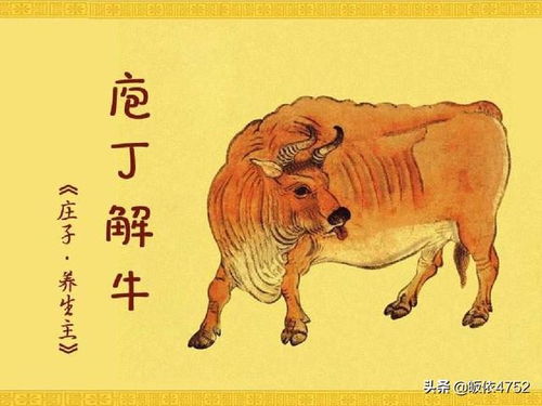 庖丁解牛寓意中的庖丁可喻指以下哪种人，庖丁解牛寓意和启示