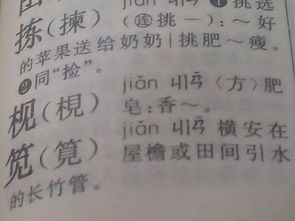 木字旁放个见读什么