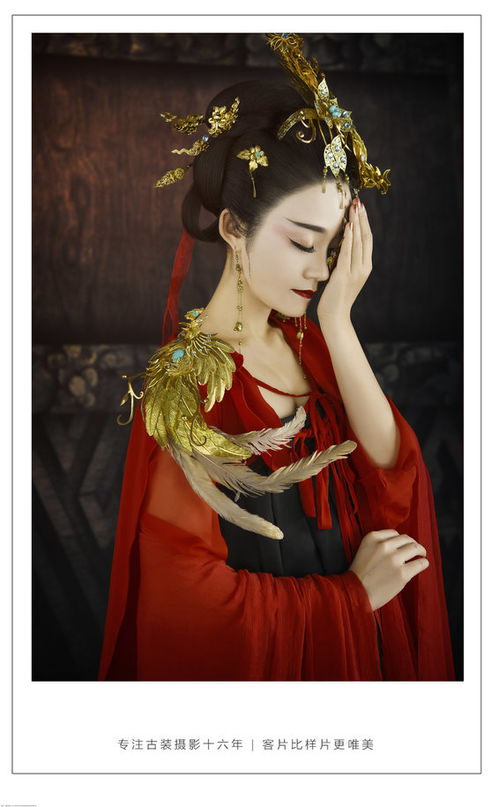 凤翎的成语凤翎的成语是什么