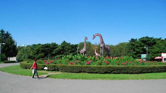 长春动植物园夜场门票，长春动植物园电话