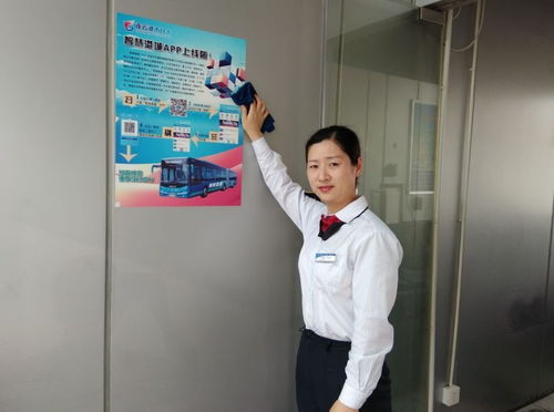 平凡的美丽作文600字记叙文，平凡的美丽作文700字