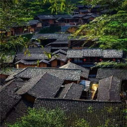 丁屋岭简介，丁屋岭村为什么没有蚊子