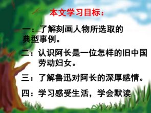 阿长与山海经ppt一等奖，阿长与山海经优秀ppt