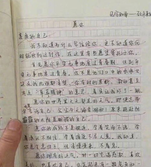未来的我优秀作文
