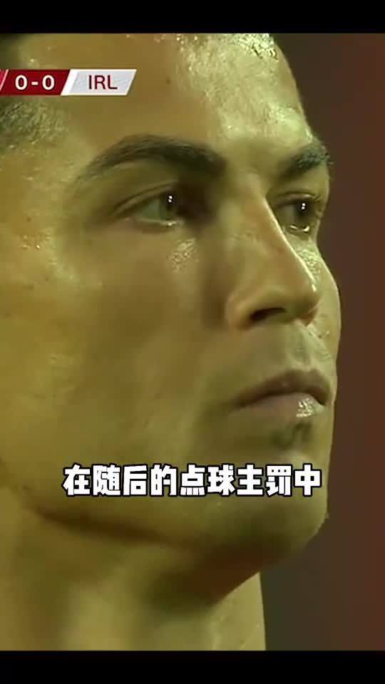 招惹的意思